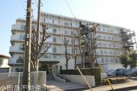 向ヶ丘遊園ビューハイツ〜２路線利用可・リノベ履歴有〜