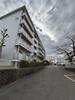 ひよどり台７団地３６号棟 2階 築51年7ヶ月の賃貸物件