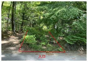 長野県北佐久郡軽井沢町大字軽井沢