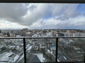 レーベン新潟　ＴＨＥ　ＴＯＷＥＲ　ＭＡＲＫＳ