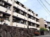 シティコア夙川 4階 築42年7ヶ月の賃貸物件