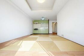 シャンボール康生