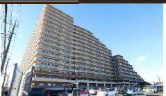 グランセリーナ