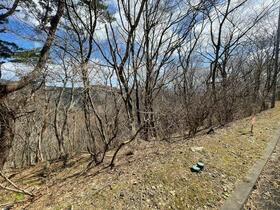 福島県安達郡大玉村玉井字守谷山