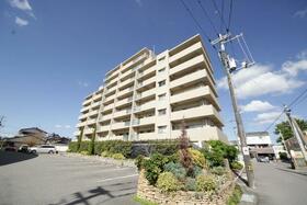 アルファステイツ住吉２