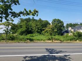 茨城県小美玉市張星