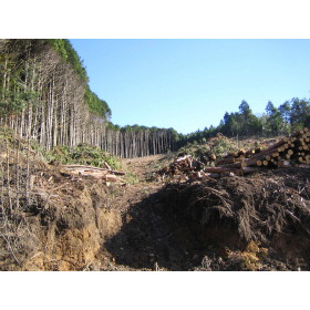 愛知県新城市作手清岳字向山