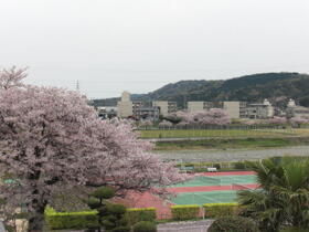 リバーサイド庄内Ⅱ  ｜ 愛媛県新居浜市庄内町２丁目（賃貸マンション1K・3階・28.70㎡） その16