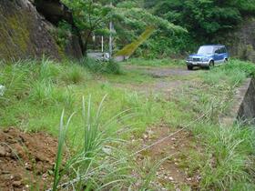 静岡県賀茂郡西伊豆町田子