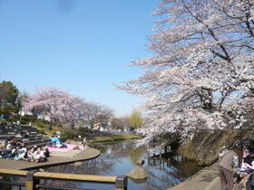 ブランニュー岸根公園 202 ｜ 神奈川県横浜市港北区篠原町（賃貸アパート1R・2階・22.47㎡） その16