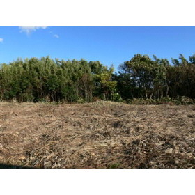 千葉県いすみ市岬町和泉