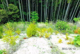千葉県館山市正木