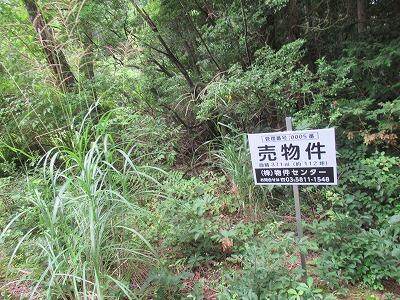 不動産ジャパン 物件詳細 山梨県南都留郡鳴沢村 の物件情報 売地