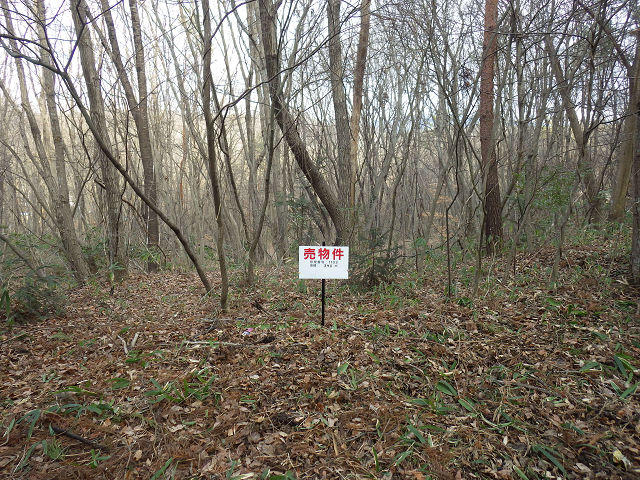埼玉 山林 購入