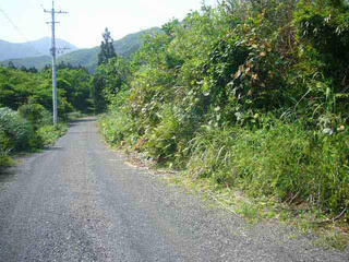 ハトマークサイト 熊毛郡屋久島町 宮之浦 の売土地