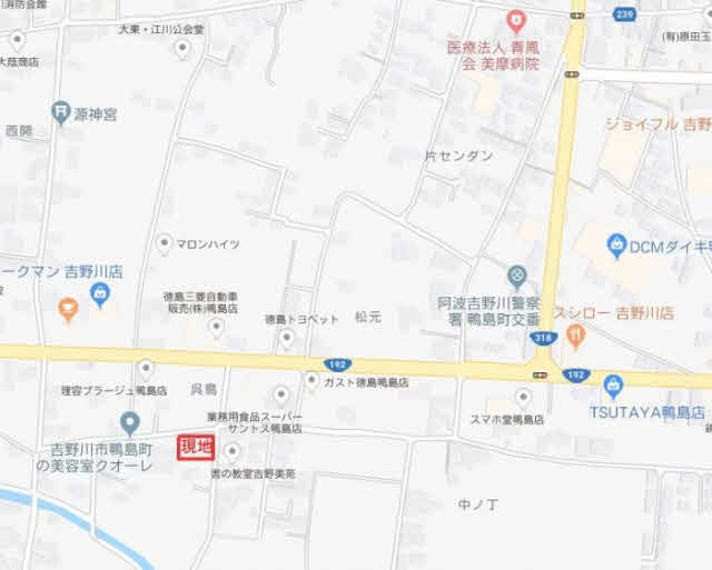 不動産ジャパン 物件詳細 徳島県吉野川市鴨島町西麻植字大東 西麻植駅の物件情報 売地
