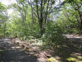 福島県福島市在庭坂字中ノ堂