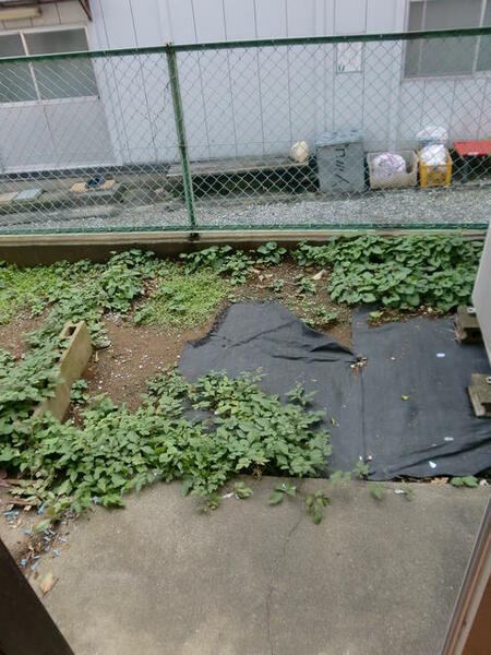 ミニスペースの庭付きです。