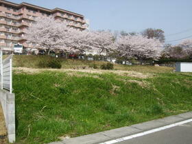 茨城県土浦市常名