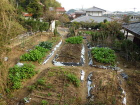 佐賀県唐津市神田