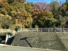 神奈川県小田原市小竹