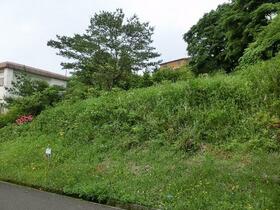 鹿児島県霧島市霧島大窪