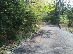 静岡県富士宮市猪之頭