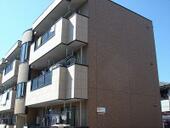 ローズマリーのイメージ