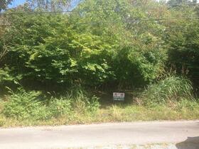 山梨県南都留郡山中湖村平野