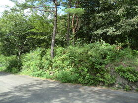 宮城県大崎市鳴子温泉字沼井