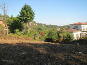 静岡県伊東市宇佐美