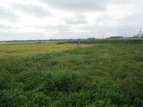 宮城県大崎市古川荒谷字本町東