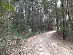 岐阜県恵那市三郷町野井