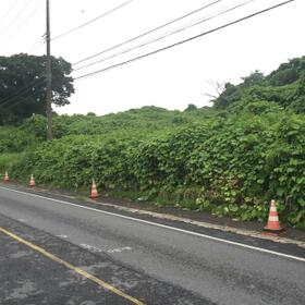 茨城県稲敷郡阿見町大字島津