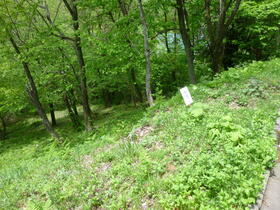 岐阜県郡上市高鷲町大鷲