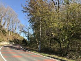 茨城県常陸大宮市小野