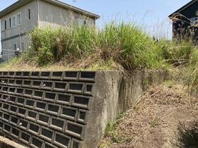 茨城県稲敷郡美浦村大字見晴