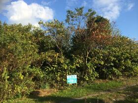 愛知県豊橋市豊栄町字東