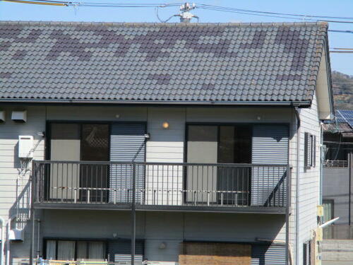 シャルムフジシロ_その他_13