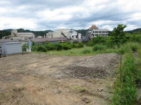 兵庫県丹波篠山市大山新