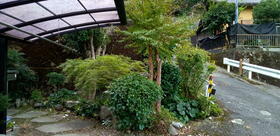 静岡県伊豆市梅木