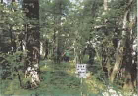 栃木県那須郡那須町大字高久丙