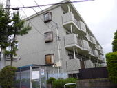 藤枝市郡 3階建 築24年のイメージ