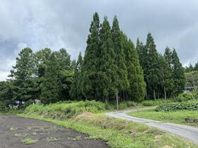 長野県長野市戸隠豊岡