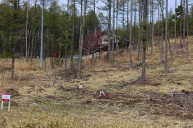 長野県諏訪市大字四賀霧ヶ峰