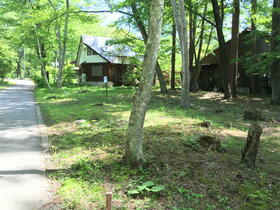 山梨県北杜市大泉町西井出