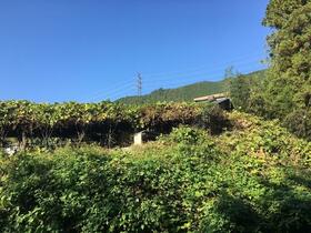 神奈川県相模原市緑区千木良