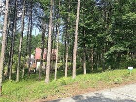 山梨県北杜市大泉町谷戸