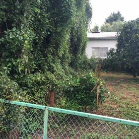 静岡県伊東市八幡野