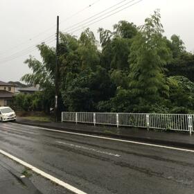 静岡県伊東市八幡野